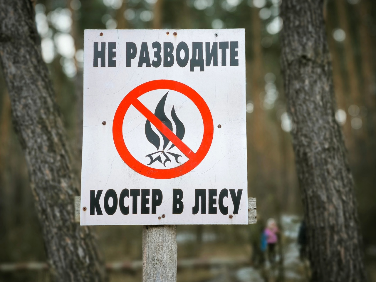 В Курской области сохраняется особый противопожарный режим