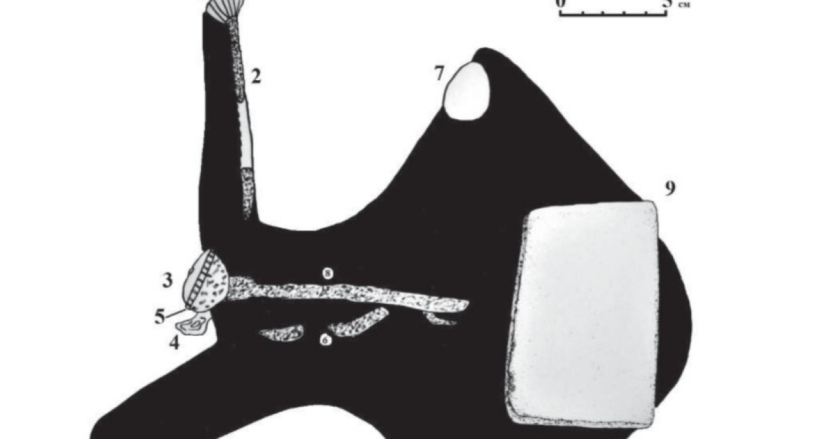 Археолог описал пазырыкский головной убор с бляхой-триквестром